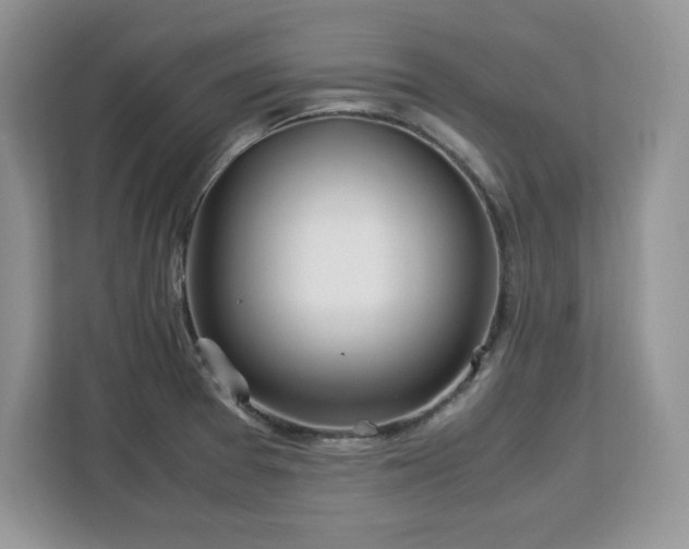X0000113091377200908281235