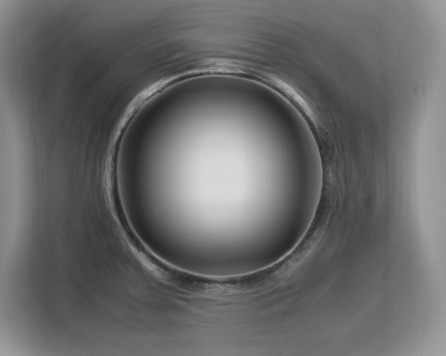 X0000113091379200908281235