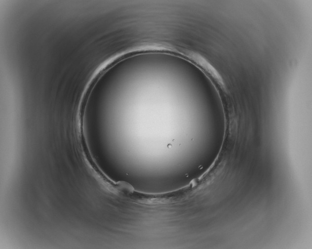 X0000113091380200908281235
