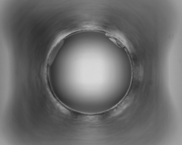 X0000113091381200908281235
