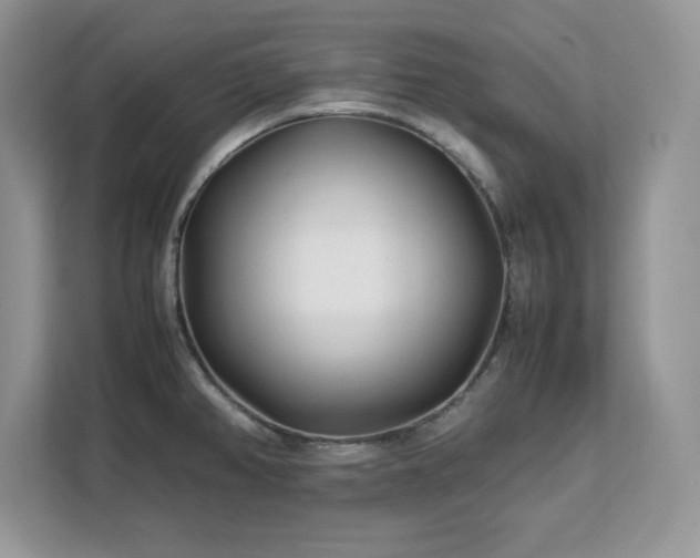 X0000113091382200908281235