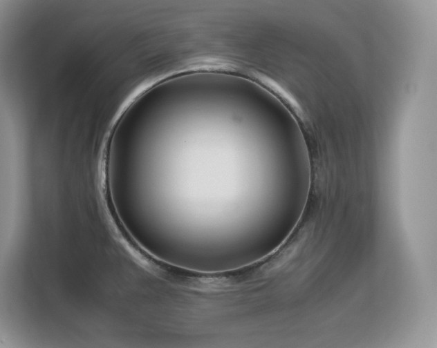 X0000113091383200908281235