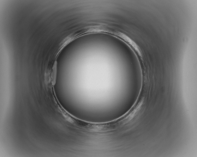 X0000113091385200908281235