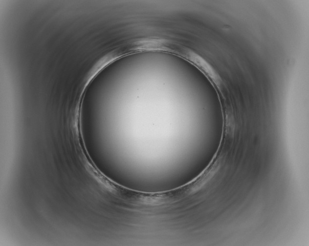 X0000113091386200908281235