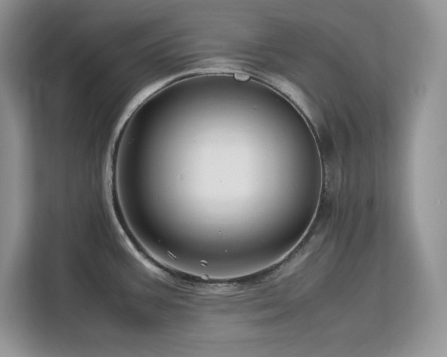 X0000113091387200908281234