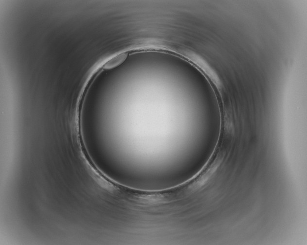 X0000113091388200908281234