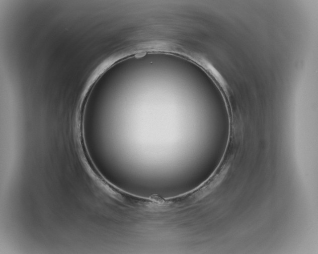X0000113091389200908281234