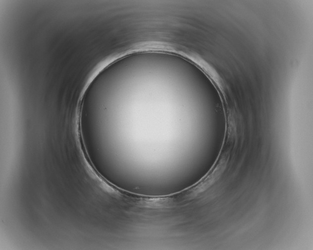 X0000113091390200908281234