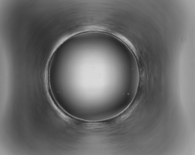 X0000113091391200908281234
