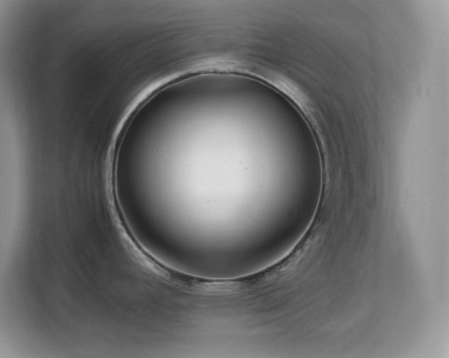 X0000113091392200908281234