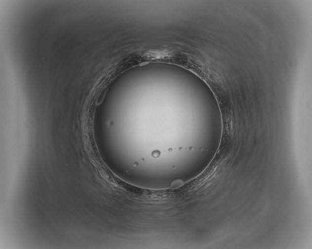 X0000113091393200908281234