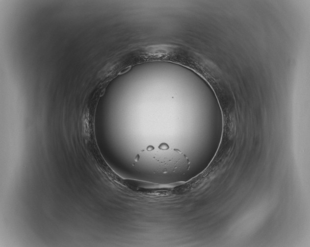 X0000113091394200908281234