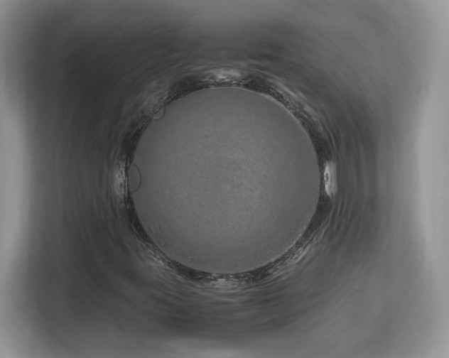 X0000113091395200908281234