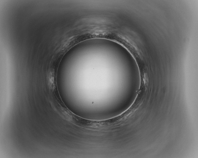 X0000113091396200908281234
