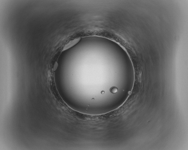 X0000113091397200908281234
