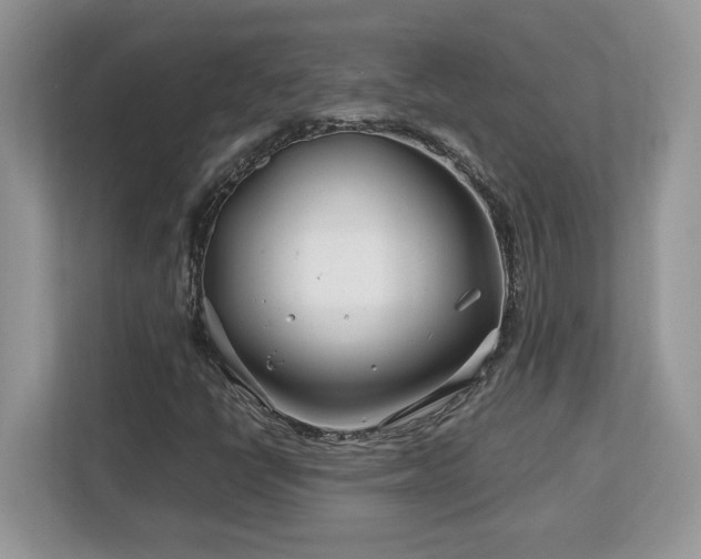 X0000113091398200908281234