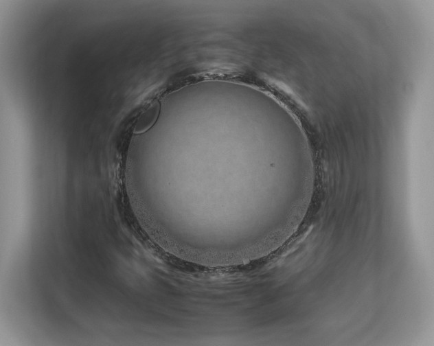 X0000113091399200908281234