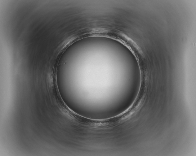 X0000113091401200908281234