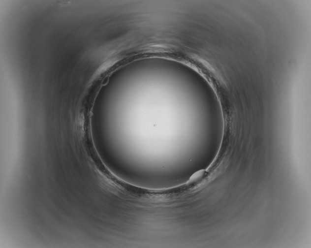 X0000113091402200908281234