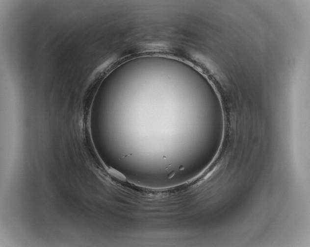 X0000113091403200908281234