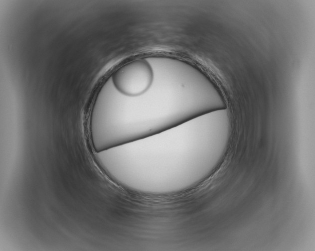 X0000113091404200908281234