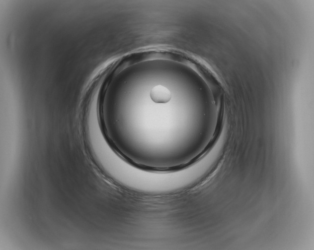 X0000113091406200908281234