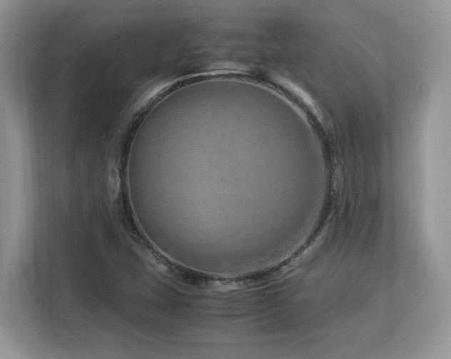 X0000113091407200908281234