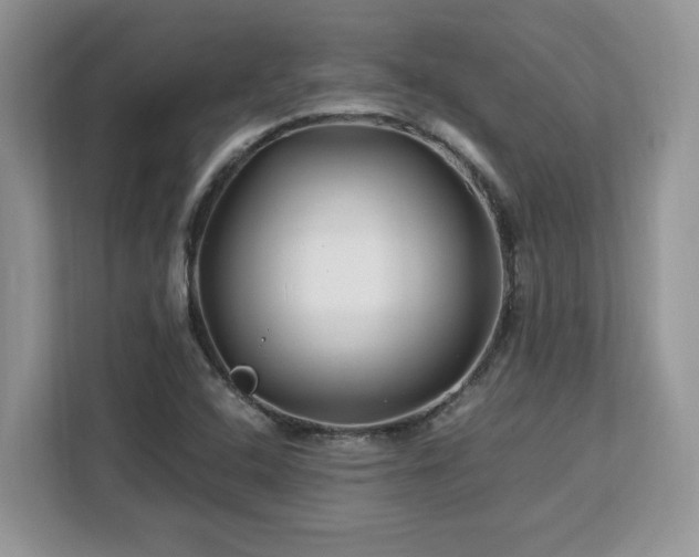X0000113091408200908281234