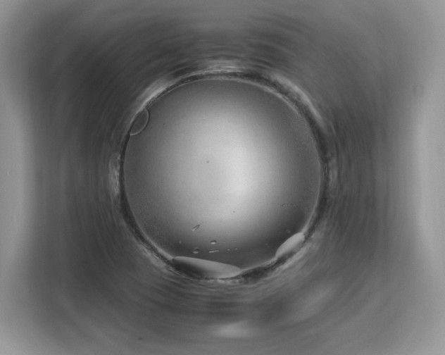 X0000113091409200908281234