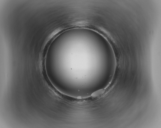 X0000113091410200908281234