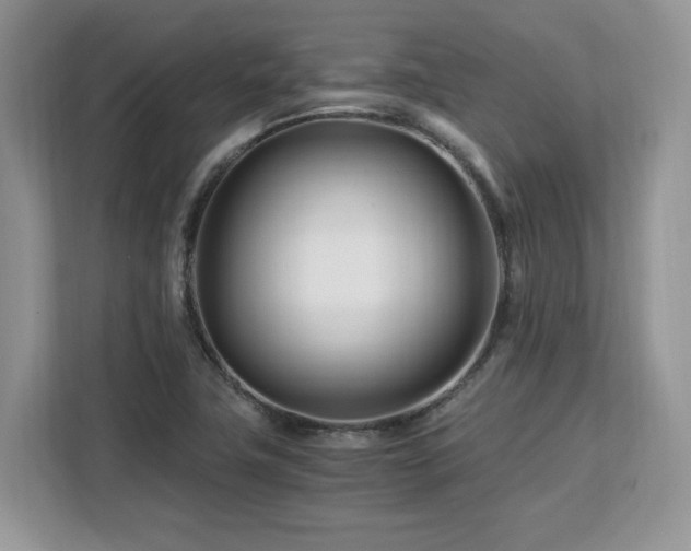 X0000113091411200908281234