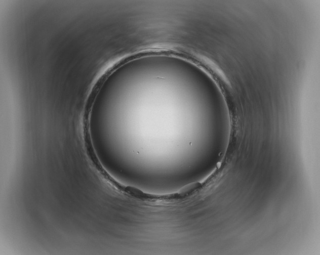 X0000113091412200908281234