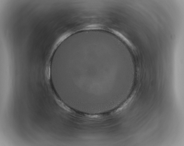 X0000113091413200908281234