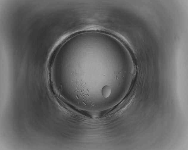 X0000113091414200908281234