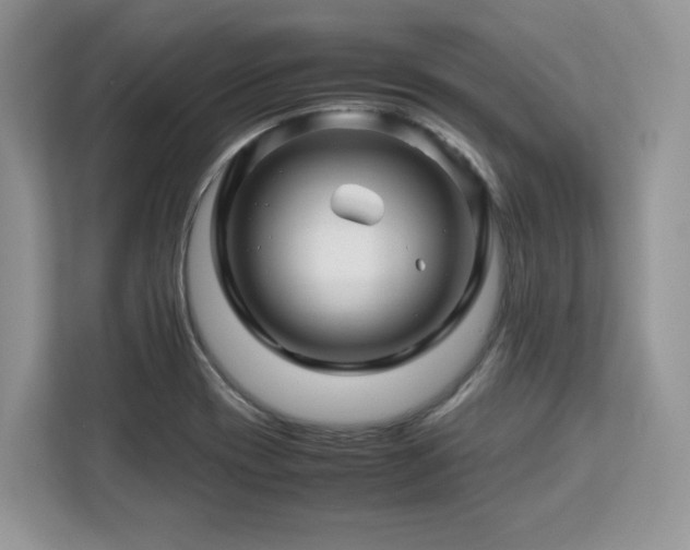 X0000113091417200908281234