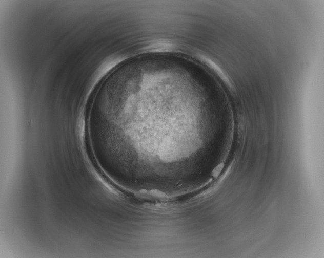 X0000113091418200908281234