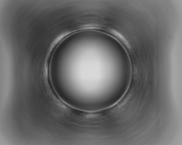 X0000113091419200908281234
