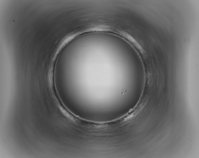 X0000113091421200908281234