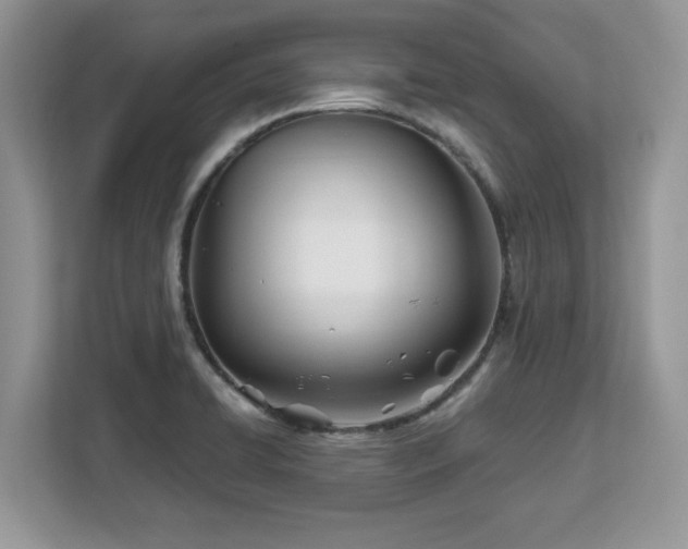 X0000113091422200908281234
