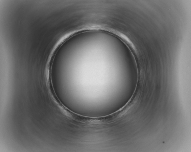 X0000113091424200908281234