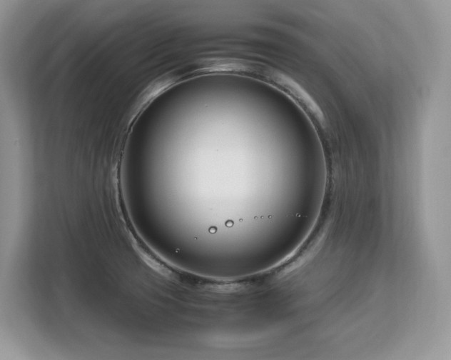 X0000113091425200908281234