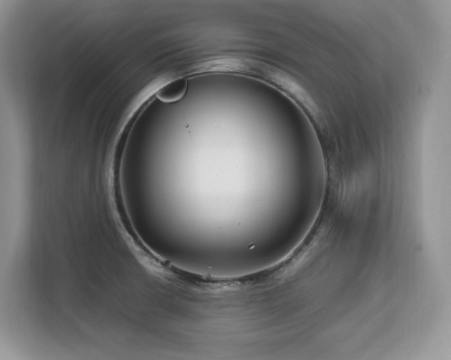 X0000113091426200908281234