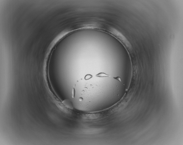 X0000113091427200908281234