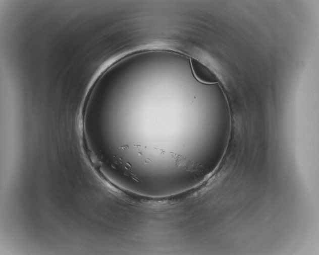 X0000113091428200908281234