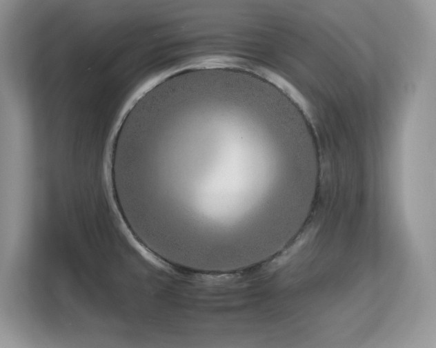 X0000113091429200908281234
