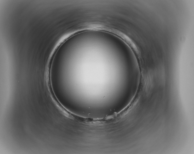 X0000113091432200908281234