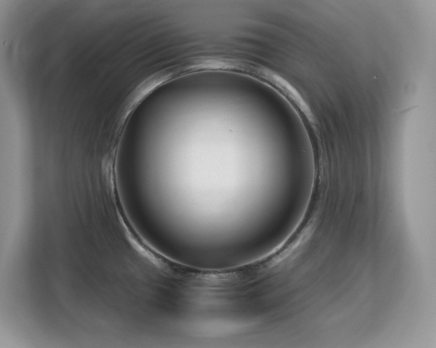 X0000113091433200908281234