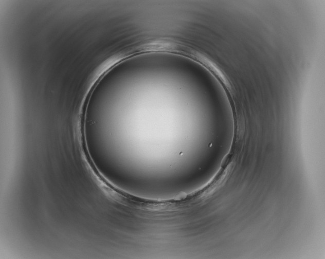 X0000113091434200908281234