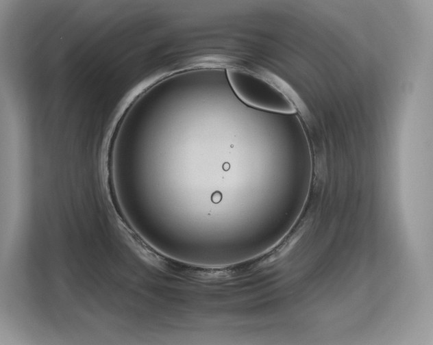 X0000113091435200908281234