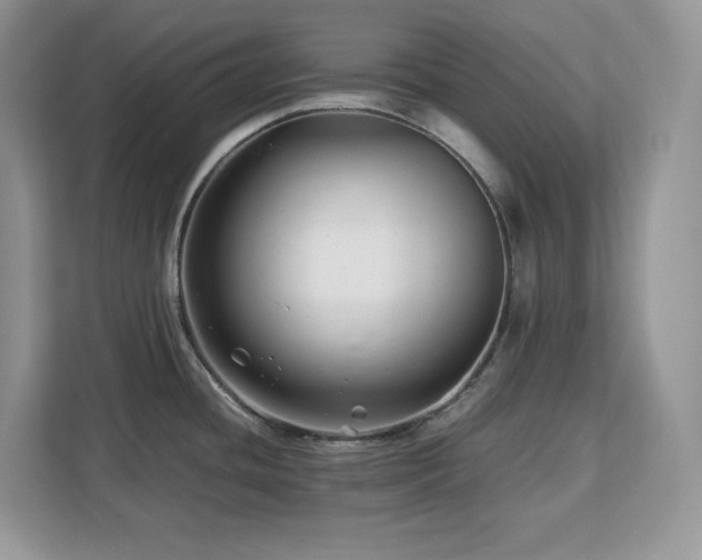 X0000113091436200908281234